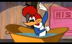 Woody Woodpecker classic | Dines out | Woody Woodpecker Full Episode | Videos for Kids