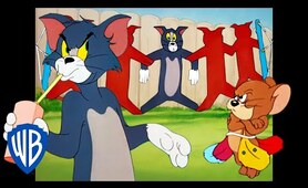 Tom & Jerry | Spring is Coming 
