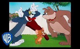 Tom & Jerry | Best Buddies 