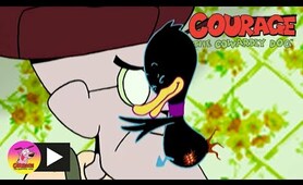 Courage The Cowardly Dog | Deadly Duckling | Cartoon Network