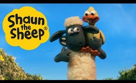 Sheep Sheep Goose | Shaun the Sheep Season 6 (Clip)