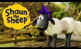 Shaun Shoots the Sheep & Fleeced | Shaun the Sheep S1 (x2 Full Episodes)