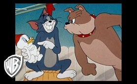 Tom et Jerry en Français | Compilation Classique Dessins Animés | Tom, Jerry, et Spike | WB Kids
