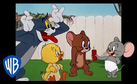 Tom & Jerry | Cuteness Overload! | Classic Cartoon Compilation | WB Kids