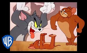 Tom & Jerry | Halloween Spooktacular 